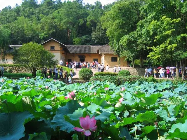 韶山紅色團(tuán)建
